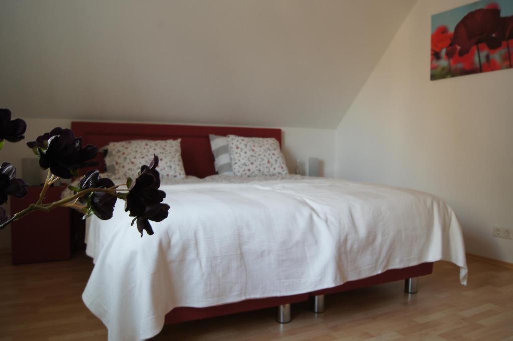 Bed And Breakfast Ammeloe Vreden Exterior foto