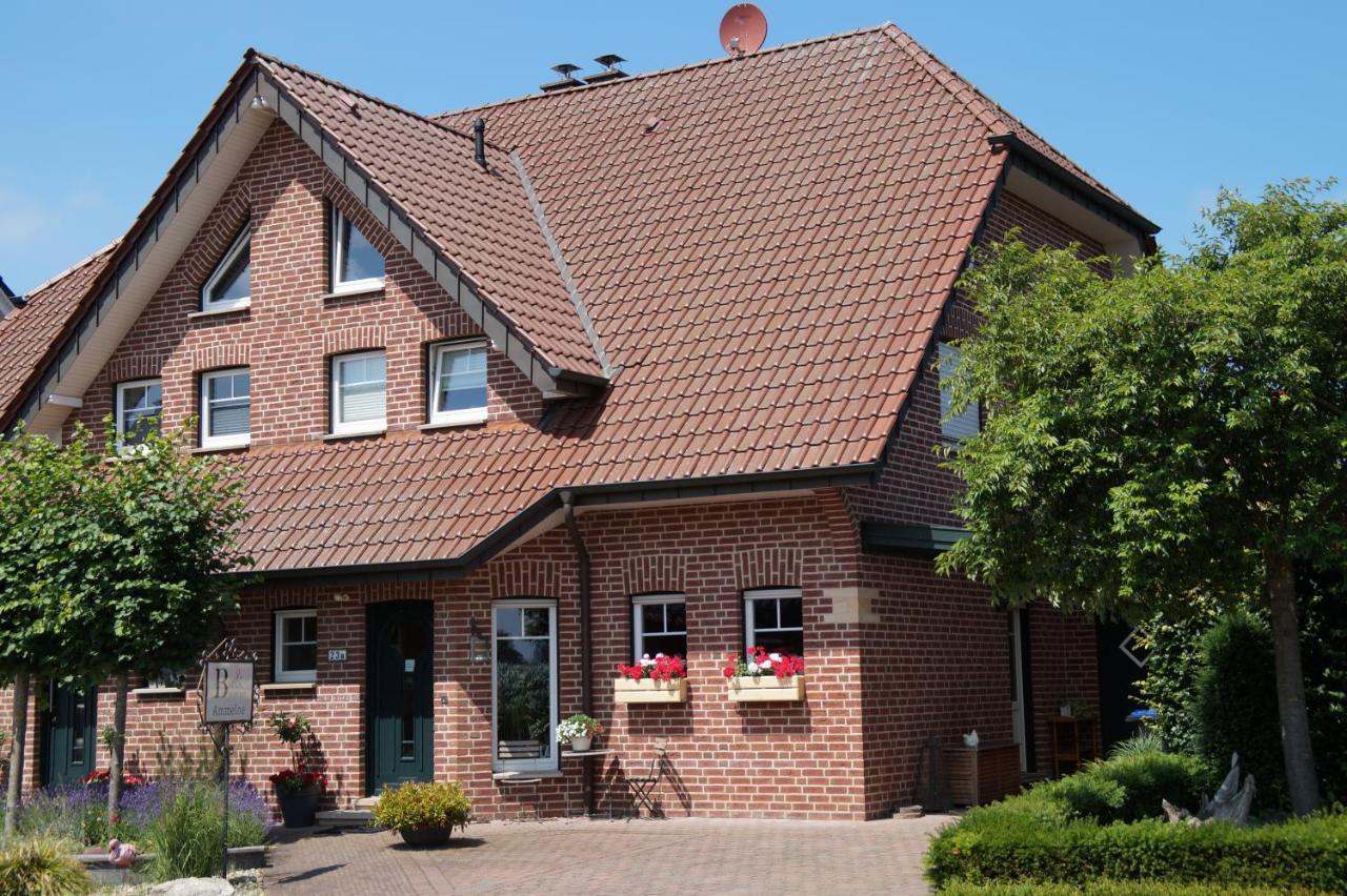 Bed And Breakfast Ammeloe Vreden Exterior foto