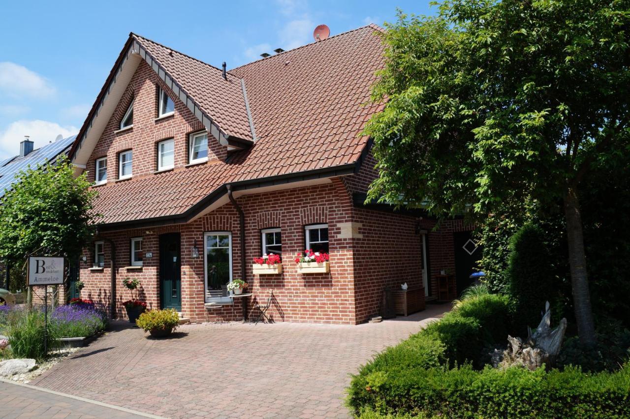 Bed And Breakfast Ammeloe Vreden Exterior foto
